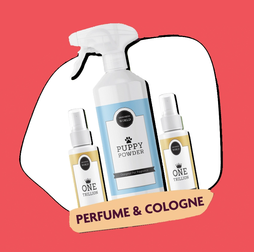 Fragrance Bundle – 15% off 8 items or more - Image 1