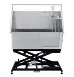 Electric Lifting Deluxe Bathing Tub with Sliding Door & Arm GW-231E *Pre Order Special (12th February)