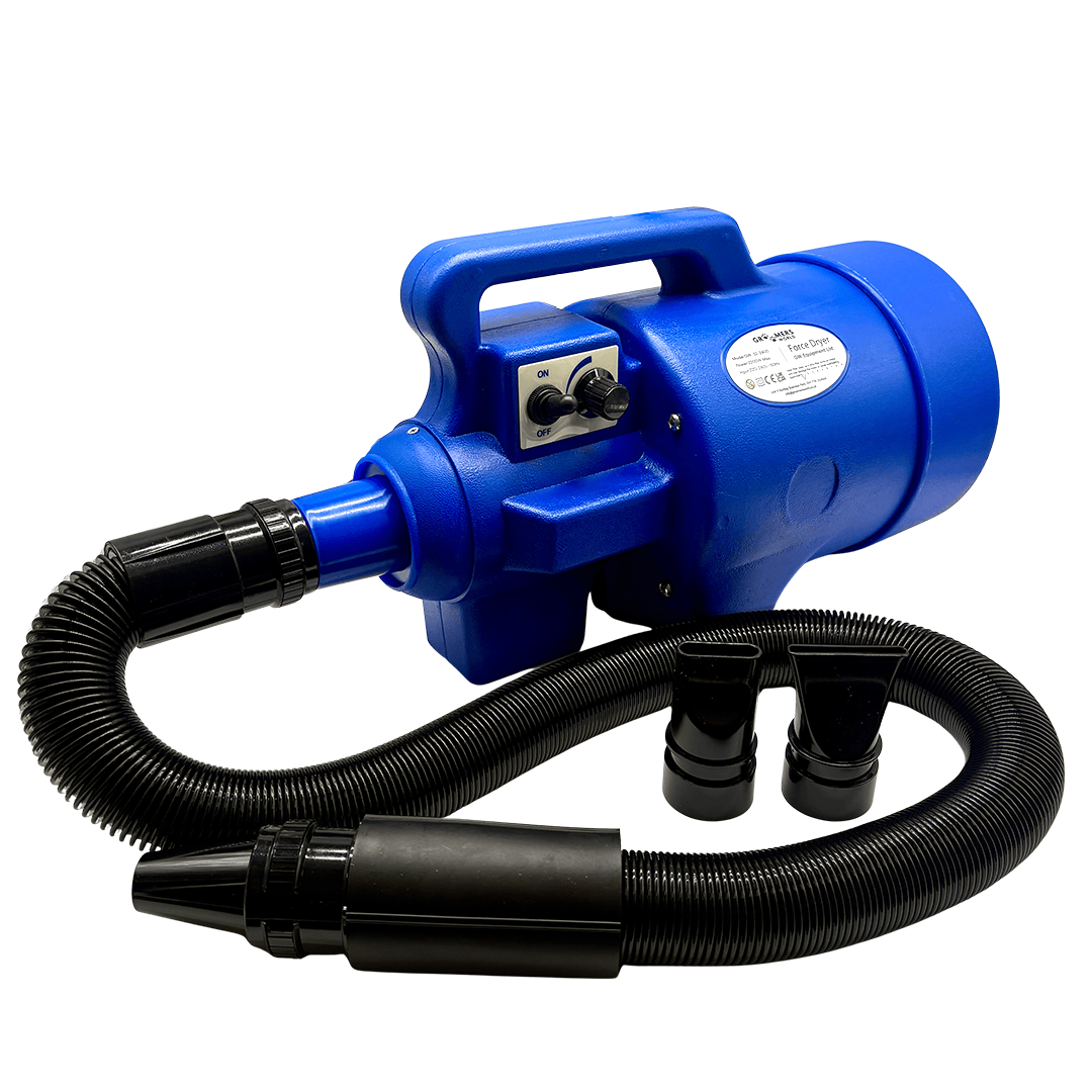 Pre Loved Blaster / Dryer Single Motor with 2 HEAT Settings (GWS2) - Image 1