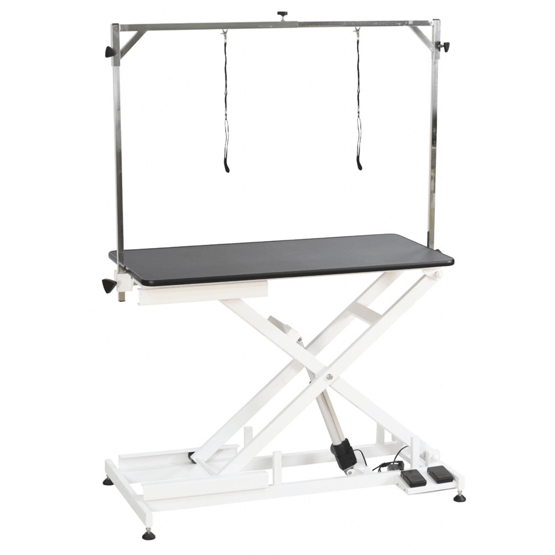 FT-808 Eco Electric Grooming Table - Image 1