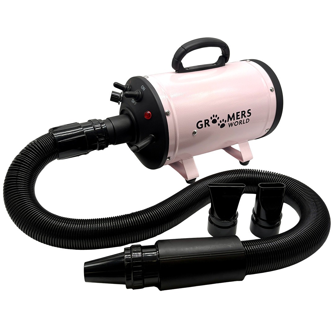 Single Motor Blaster with Heat (GWBS) - Image 1