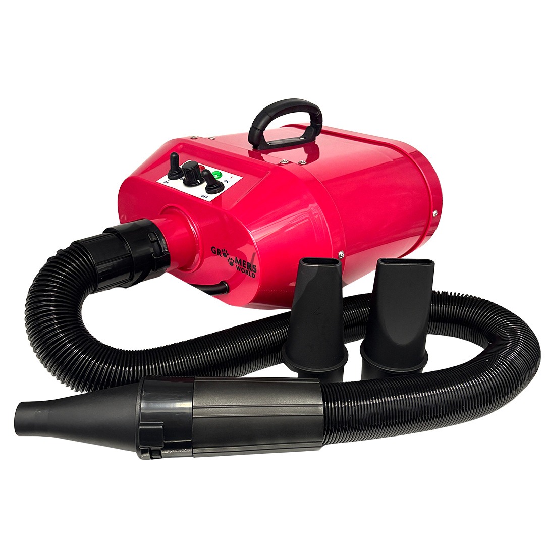 Blaster / Dryer Double Motor with Heat (GWA22) - Image 1