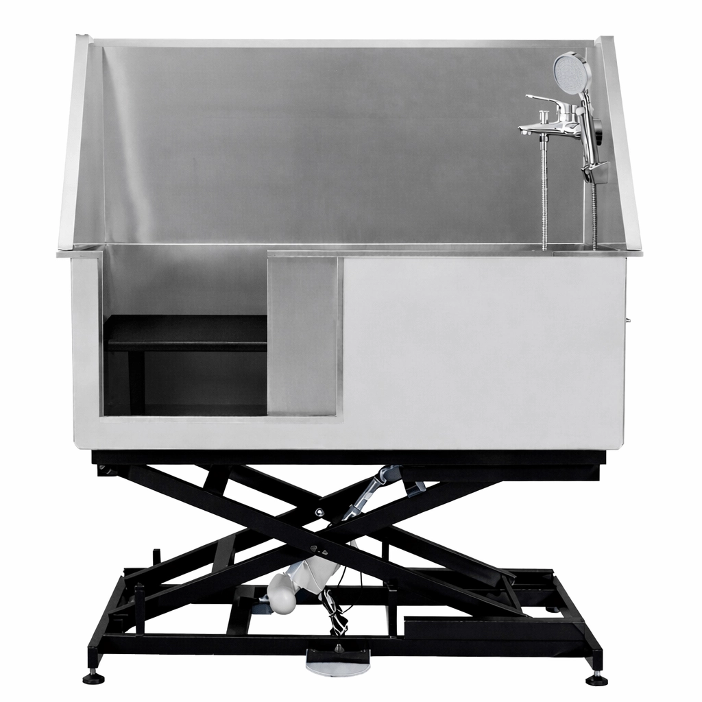 32293d3b-8d5f-4447-afea-e4fc571ceeea Electric Lifting Deluxe Bathing Tub with Sliding Door & Arm GW-50E - Image 1