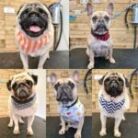 100 Tieback Bandanas - Image 5