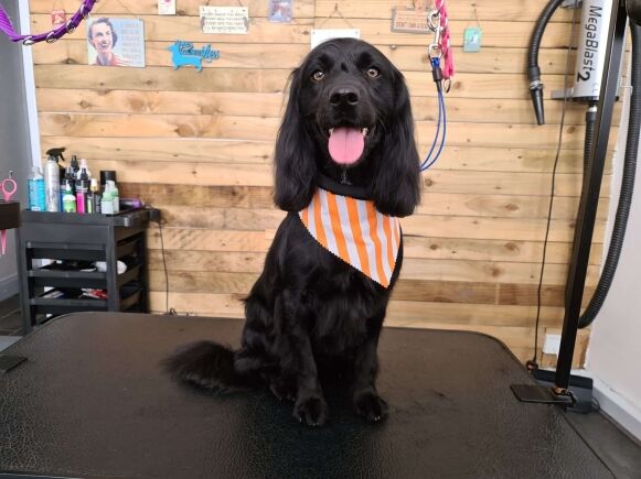 100 Tieback Bandanas - Image 10