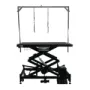 Pro Range Large Accordion Electric Grooming Table with Wheels