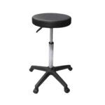 Professional Grooming Chair, With wheels