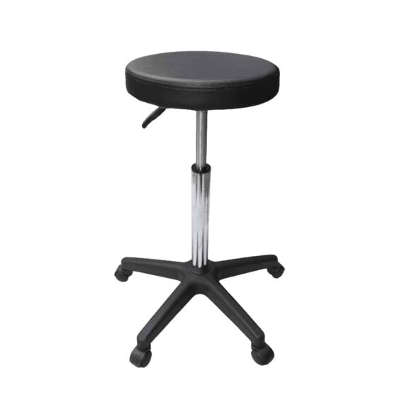 Professional Grooming Chair, With wheels