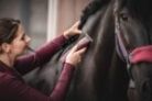 KM Supera Equine Clipper - Image 4