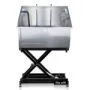 Dog Grooming Electric Lifting Deluxe Bathing Tub with Sliding Door & Arm (GWH107)