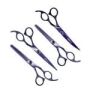 Poodle, Doodle & Bichon Scissor Set