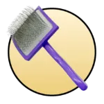 Brushes