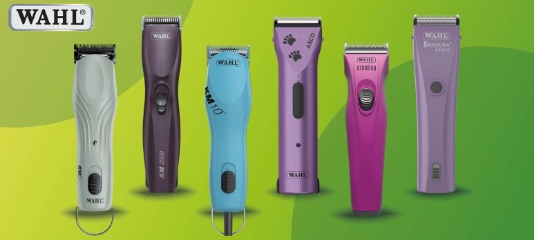 Wahl