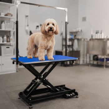 How to Choose the Best Dog Grooming Table for Large Dogs