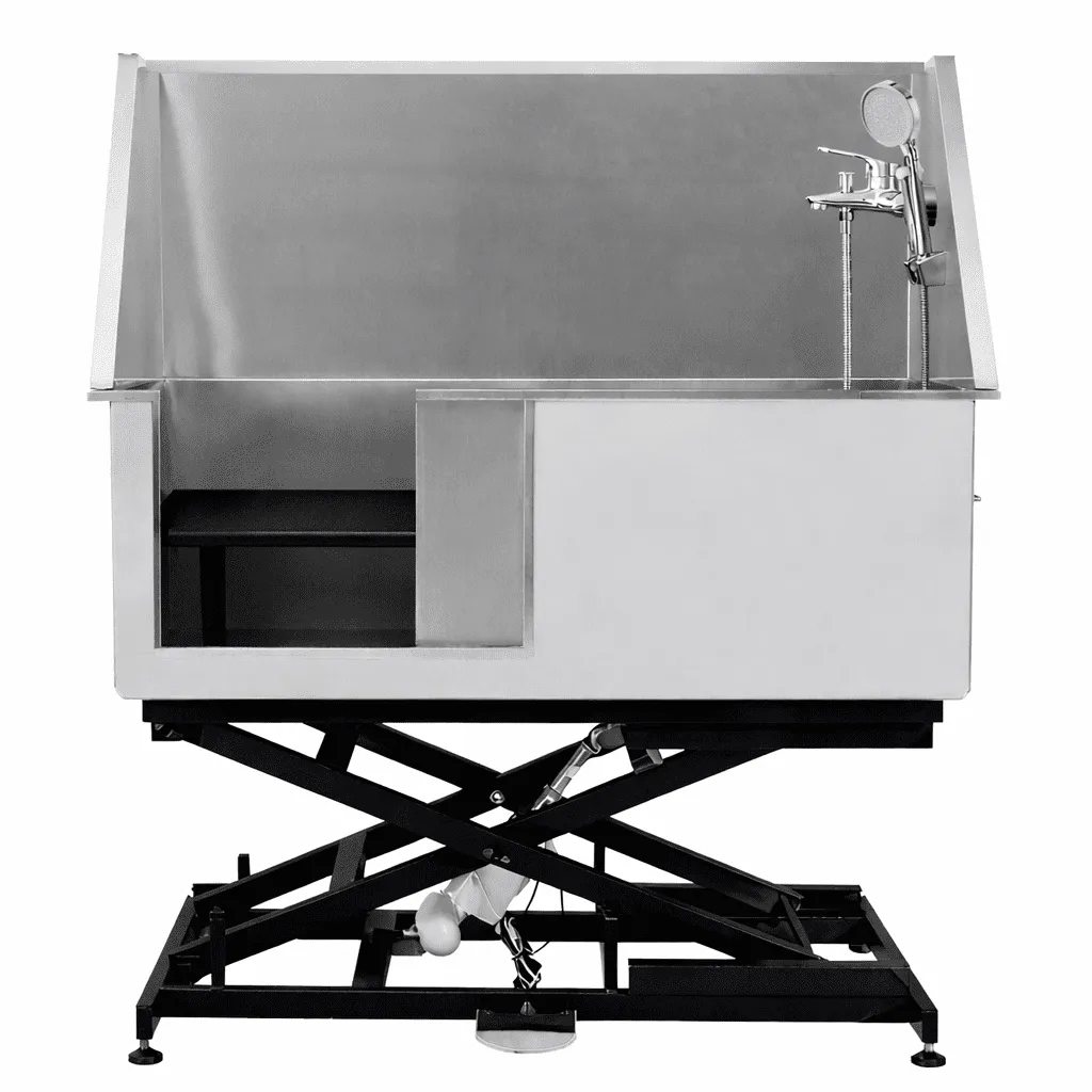 32293d3b-8d5f-4447-afea-e4fc571ceeea Electric Lifting Deluxe Bathing Tub with Sliding Door & Arm GW-50E - Image 1