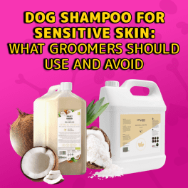 Dog Shampoo for Sensitive Skin: What Groomers Should Use and Avoid