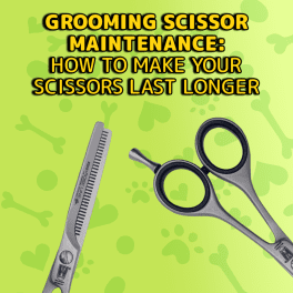 Dog Grooming Scissor Maintenance: How to Make Your Scissors Last Longer