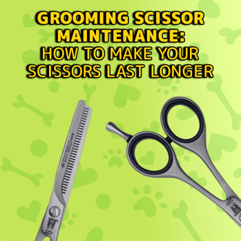 Dog Grooming Scissor Maintenance: How to Make Your Scissors Last Longer