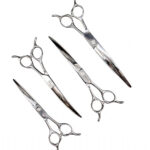 Extreme Curved – Teddy Bear Asian Fusion