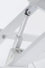 Electric Lifting Deluxe Bathing Tub with Sliding Door & Arm GW-231E - Image 4