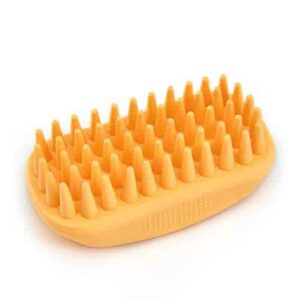 Rubber Brush