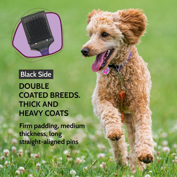 Mini Firm Flexi Brush – POODLE, DOODLE, BICHON - Image 5