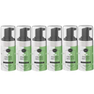12 x Mint Mouth Foam 150ml