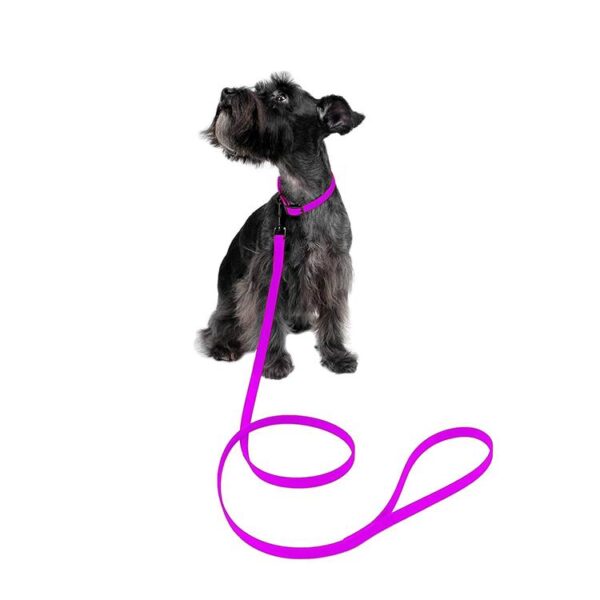 4 x Waterproof Dog Collars - Image 2