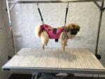 Hammock / Sling / Cradle - Image 2