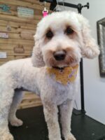 Tieback Bandana Subscription - Image 8