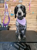 Tieback Bandana Subscription - Image 9
