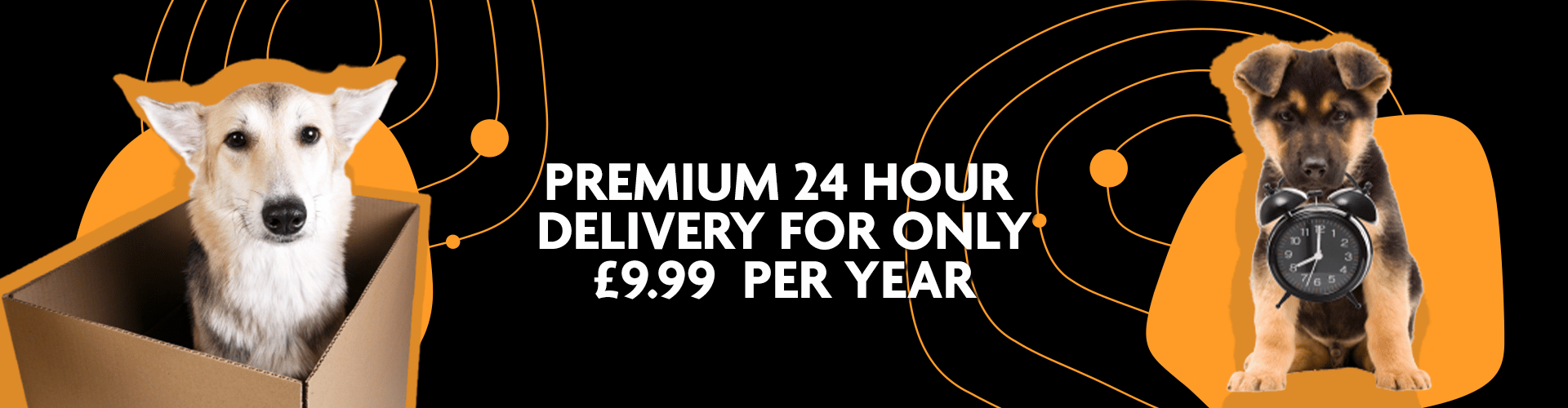 GW Premium Delivery Header 2022