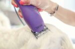 KM5 Two Speed Corded Clipper - Image 2