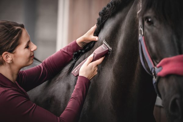 KM Supera Equine Clipper - Image 4