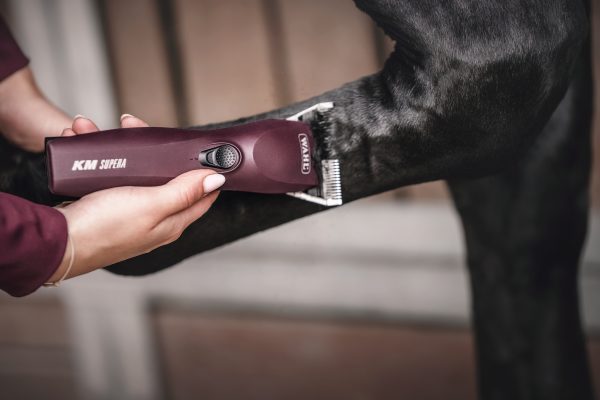 KM Supera Equine Clipper - Image 5