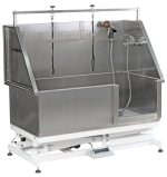 Electric Lifting Deluxe Bathing Tub with Sliding Door & Arm BTS-231E - Image 2