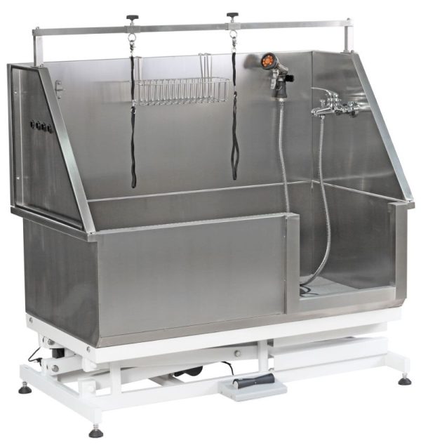 Electric Lifting Deluxe Bathing Tub with Sliding Door & Arm BTS-231E - Image 2
