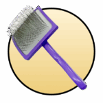 Brushes