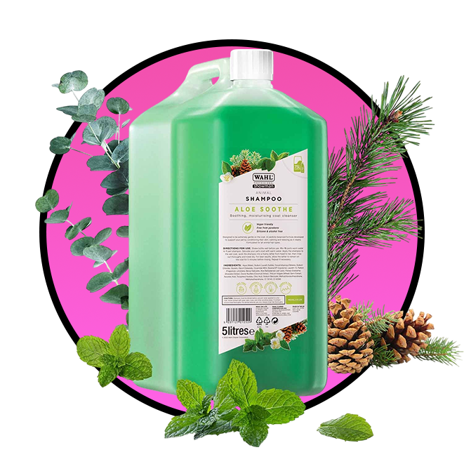 Wahl Dog Shampoo | Groomers World